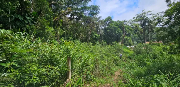 Terreno / Lote / Condomínio à venda, 2400m² no Antonina, Antonina