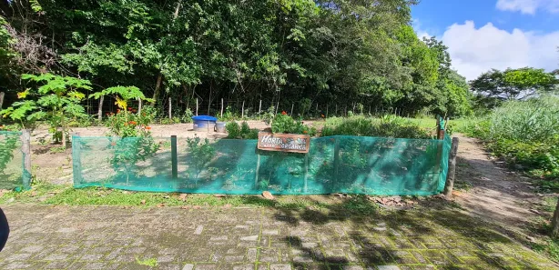 Terreno / Lote / Condomínio à venda, 482m² no Bonança, Moreno