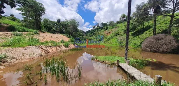 Terreno / Lote / Condomínio à venda, 20000m² no , Florestal