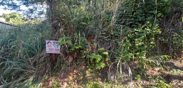 Terreno / Lote / Condomínio à venda, 292m² no Centro, Nova Lima