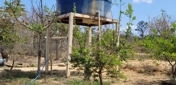Fazenda / Sítio / Chácara com 3 Quartos à venda, 170000m² no , Padre Bernardo