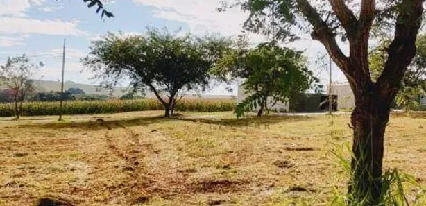 Terreno / Lote / Condomínio à venda, 320m² no Jardim Nova Floresta, Floresta