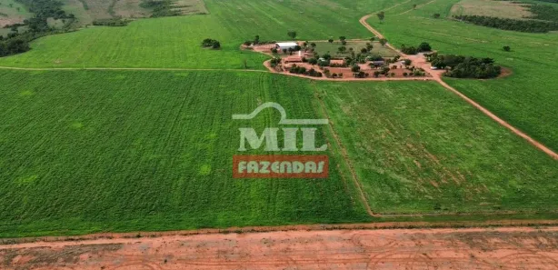 Fazenda / Sítio / Chácara à venda, 500m² no Setor Central, Ponte Alta do Tocantins