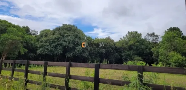 Fazenda / Sítio / Chácara com 1 Quarto à venda, 24200m² no Felpudo, Campo Largo