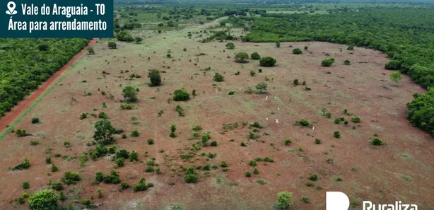 Fazenda / Sítio / Chácara à venda, 600m² no , Pium
