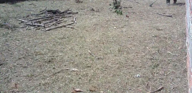 Terreno / Lote / Condomínio à venda, 300m² no Parque Verde II, Camaçari