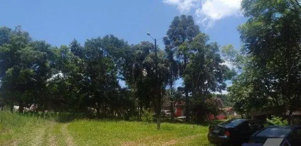 Fazenda / Sítio / Chácara à venda, 10000m² no Loteamento Jardim Real, Guaraniaçu