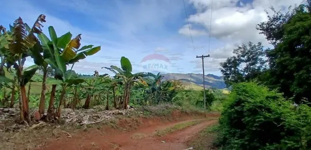 Fazenda / Sítio / Chácara com 2 Quartos à venda, 16200m² no , Bom Jardim