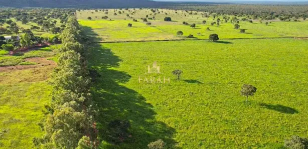 Fazenda / Sítio / Chácara com 3 Quartos à venda, 3600000m² no , Arinos