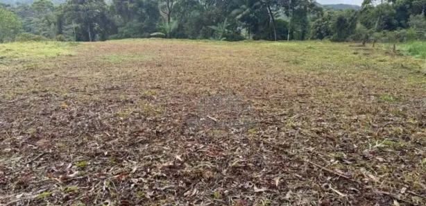 Terreno / Lote / Condomínio à venda, 4000m² no Centro, Águas Mornas