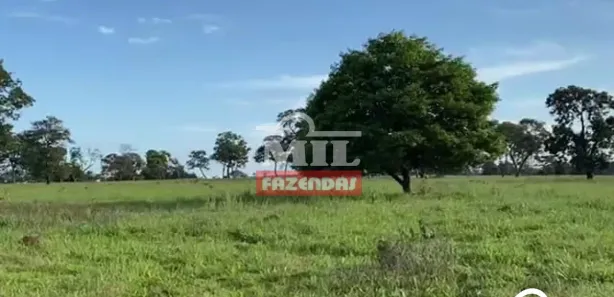 Fazenda / Sítio / Chácara à venda, 500m² no , Lagoa Santa