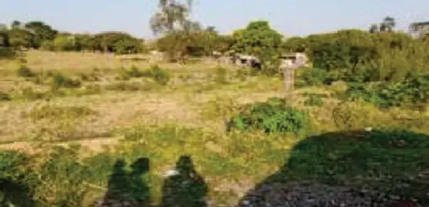 Terreno / Lote / Condomínio à venda, 11364m² no , Sarapuí