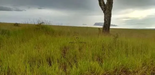 Fazenda / Sítio / Chácara com 2 Quartos à venda, 100m² no , Piedade