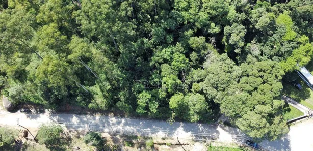 Terreno / Lote / Condomínio à venda, 15619m² no Parque Dom Henrique, Cotia