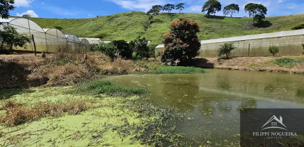Fazenda / Sítio / Chácara com 4 Quartos à venda, 7395m² no Avelar, Paty do Alferes
