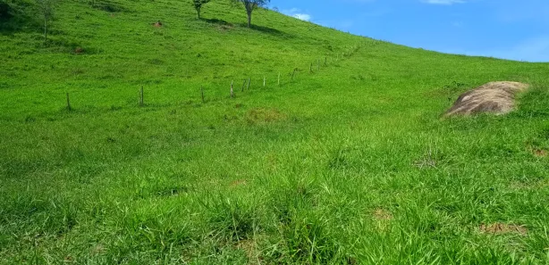 Terreno / Lote / Condomínio à venda, 210000m² no , Areal