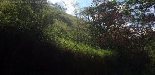 Fazenda / Sítio / Chácara com 1 Quarto à venda, 29000m² no Três Porteiras, Paty do Alferes