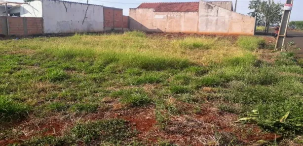 Terreno / Lote / Condomínio à venda, 328m² no Conjunto Habitacional San Fernando, Rolândia