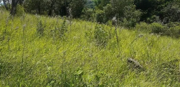Terreno / Lote / Condomínio à venda, 2800m² no Saboó, São Roque