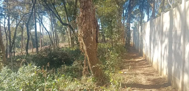 Terreno / Lote / Condomínio à venda, 4451m² no Jardim Boa Vista, Campo Magro