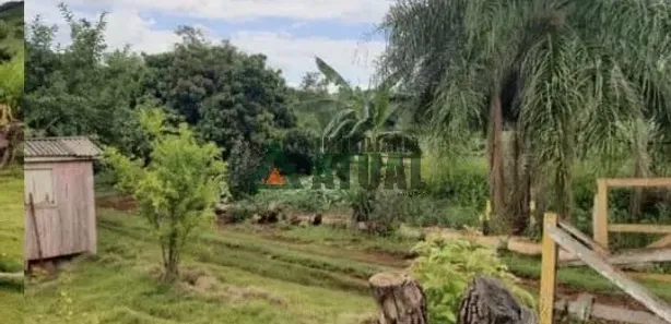 Fazenda / Sítio / Chácara à venda, 100m² no , Assaí