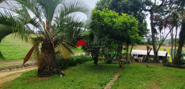 Fazenda / Sítio / Chácara com 4 Quartos à venda, 20000m² no Centro, Tijucas do Sul