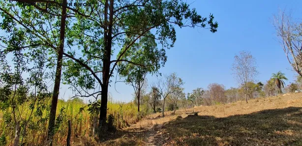 Terreno / Lote / Condomínio à venda, 20000m² no , Fortuna de Minas