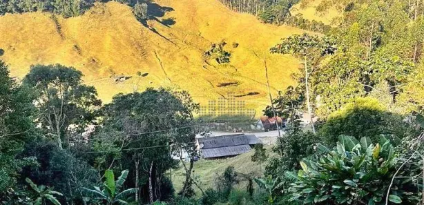 Fazenda / Sítio / Chácara com 2 Quartos à venda, 140m² no Santa Isabel, Águas Mornas