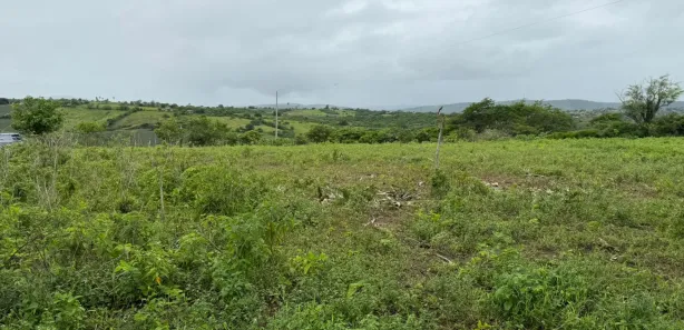 Fazenda / Sítio / Chácara à venda, 50000m² no Área Rural de Gravatá, Gravatá