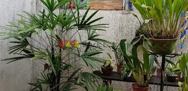Casa com 3 Quartos à venda, 150m² no Núcleo Urbano Lageado Portal dos Nobres, Ipeúna