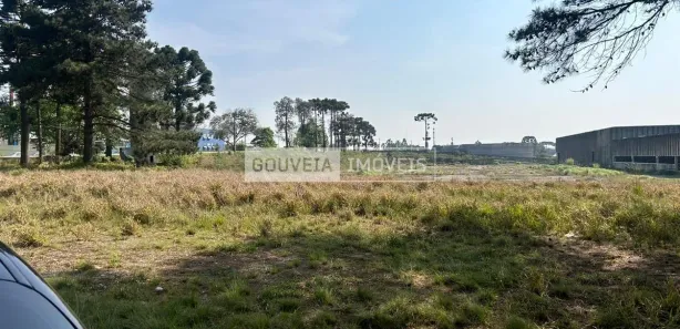 Loja / Salão / Ponto Comercial para alugar, 5000m² no Atuba, Colombo