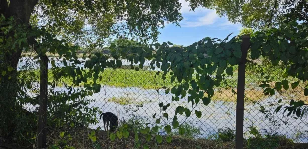 Fazenda / Sítio / Chácara com 1 Quarto para venda ou aluguel, 245m² no Parque da Figueira, Paulínia