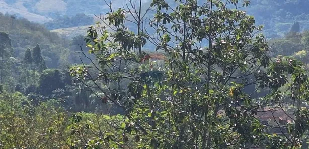 Fazenda / Sítio / Chácara com 2 Quartos à venda, 419m² no Campo Grande, Rio de Janeiro