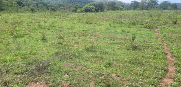 Fazenda / Sítio / Chácara à venda, 5808000m² no , Padre Bernardo