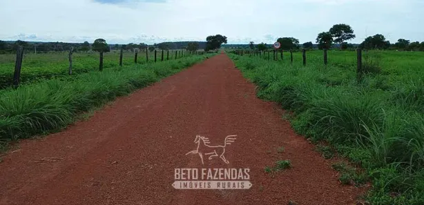 Fazenda / Sítio / Chácara à venda, 76850000m² no , Formoso do Araguaia