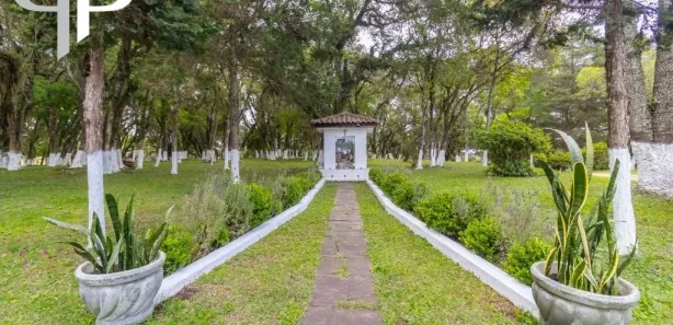 Fazenda / Sítio / Chácara com 4 Quartos para venda ou aluguel, 380m² no Cachoeira, São José dos Pinhais