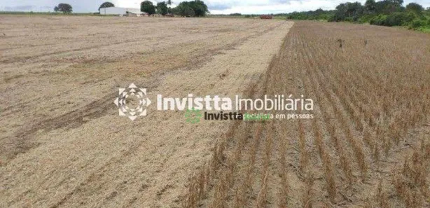 Fazenda / Sítio / Chácara à venda, 683m² no Centro, Divinópolis do Tocantins