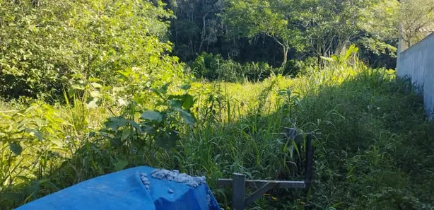 Terreno / Lote / Condomínio à venda no Boiçucanga, São Sebastião