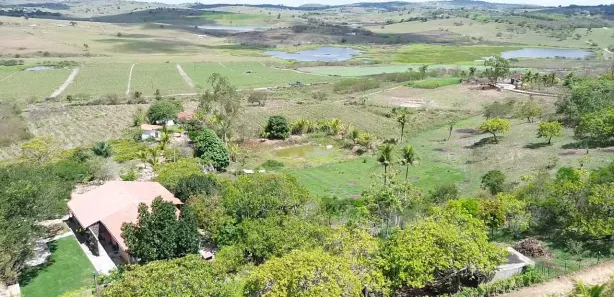 Fazenda / Sítio / Chácara com 3 Quartos à venda, 30000m² no , Sairé