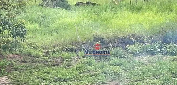 Fazenda / Sítio / Chácara com 1 Quarto à venda, 2260000m² no , Itapecuru Mirim