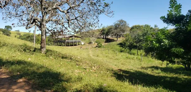 Fazenda / Sítio / Chácara com 4 Quartos à venda, 550000m² no Padre Bernardo, Padre Bernardo