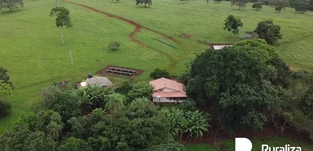 Fazenda / Sítio / Chácara à venda, 300m² no , Guaraí