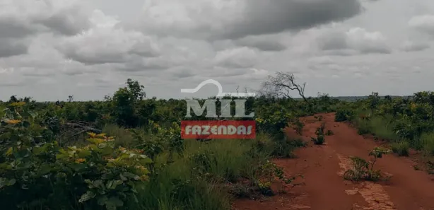Fazenda / Sítio / Chácara à venda, 500m² no , Rio Sono
