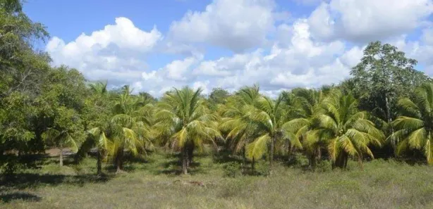 Terreno / Lote / Condomínio à venda, 7m² no Aruana, Aracaju