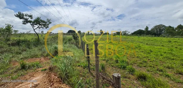 Fazenda / Sítio / Chácara à venda, 20000m² no Brazlândia, Brasília