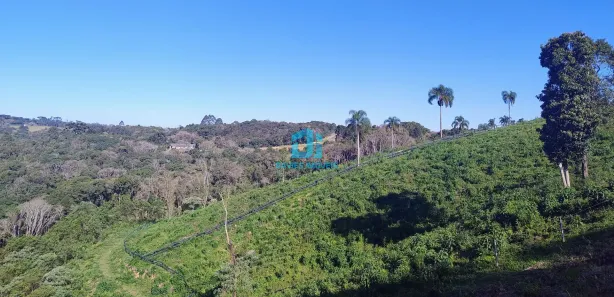 Fazenda / Sítio / Chácara à venda, 20155m² no Itaqui de Cima, Campo Largo