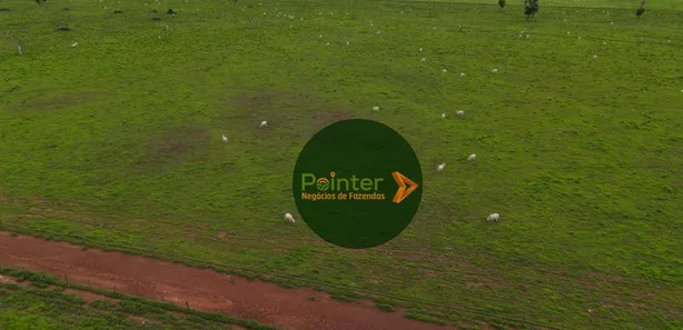 Fazenda / Sítio / Chácara com 3 Quartos à venda, 49029200m² no , Lagoa da Confusão