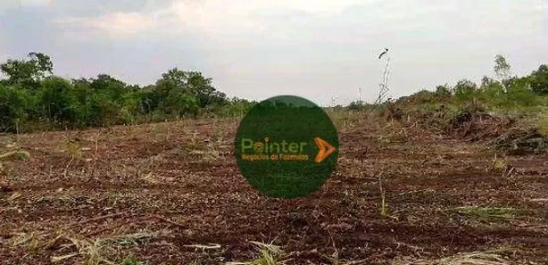 Fazenda / Sítio / Chácara à venda, 2041875m² no , Pium