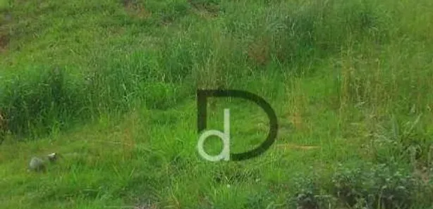 Terreno / Lote / Condomínio à venda, 450m² no Villaggio Capríccio, Louveira