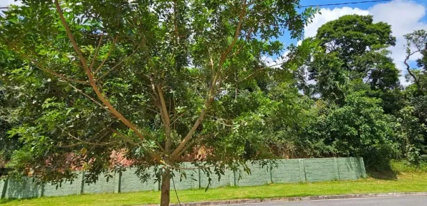 Terreno / Lote / Condomínio à venda, 134m² no Parque Alexandre, Cotia